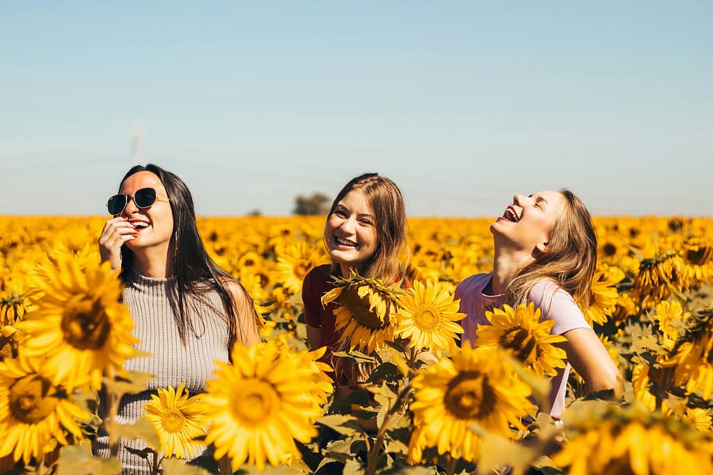 woman in white and black striped shirt standing on yellow sunflower field during daytime - ADHD and Friendships